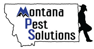 Montana Pest Solutions